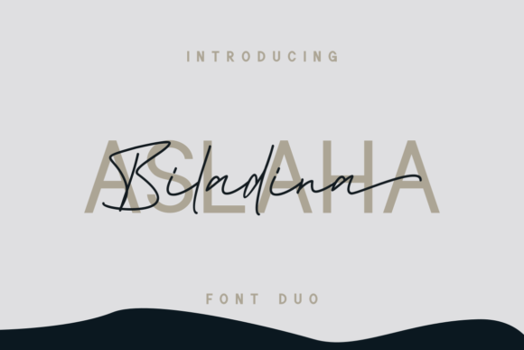 Aslaha Biladina: A Chic Script Font for Brand Identity