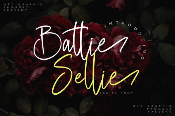 Battie Sellie: A Delicate Script Font for Web Design