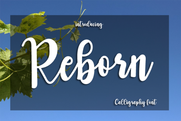 Reborn: A Playful Script Font for Modern Web Design