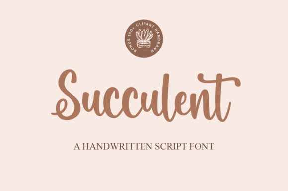 Succulent: A Playful Script Font for Small Business Branding