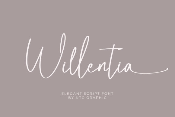Willentia: A Graceful Script Font for Campaigns